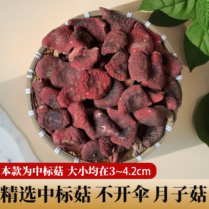 河南野生红菇正宗野生月子菇标菇不开伞干货煲汤菌菇