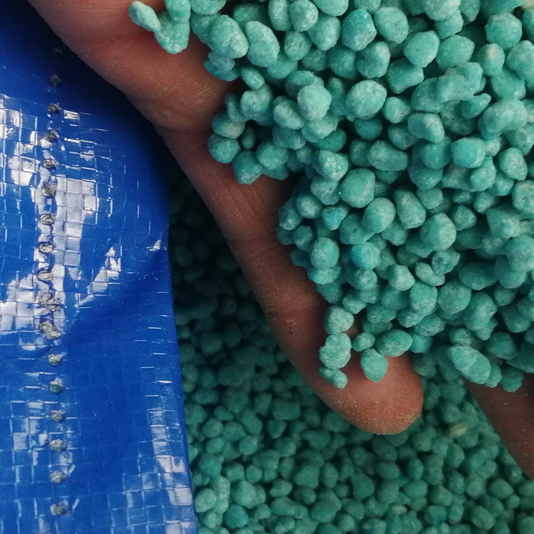 阳光果园蓝色颗粒表面施肥氮磷钾只需3粒兑水