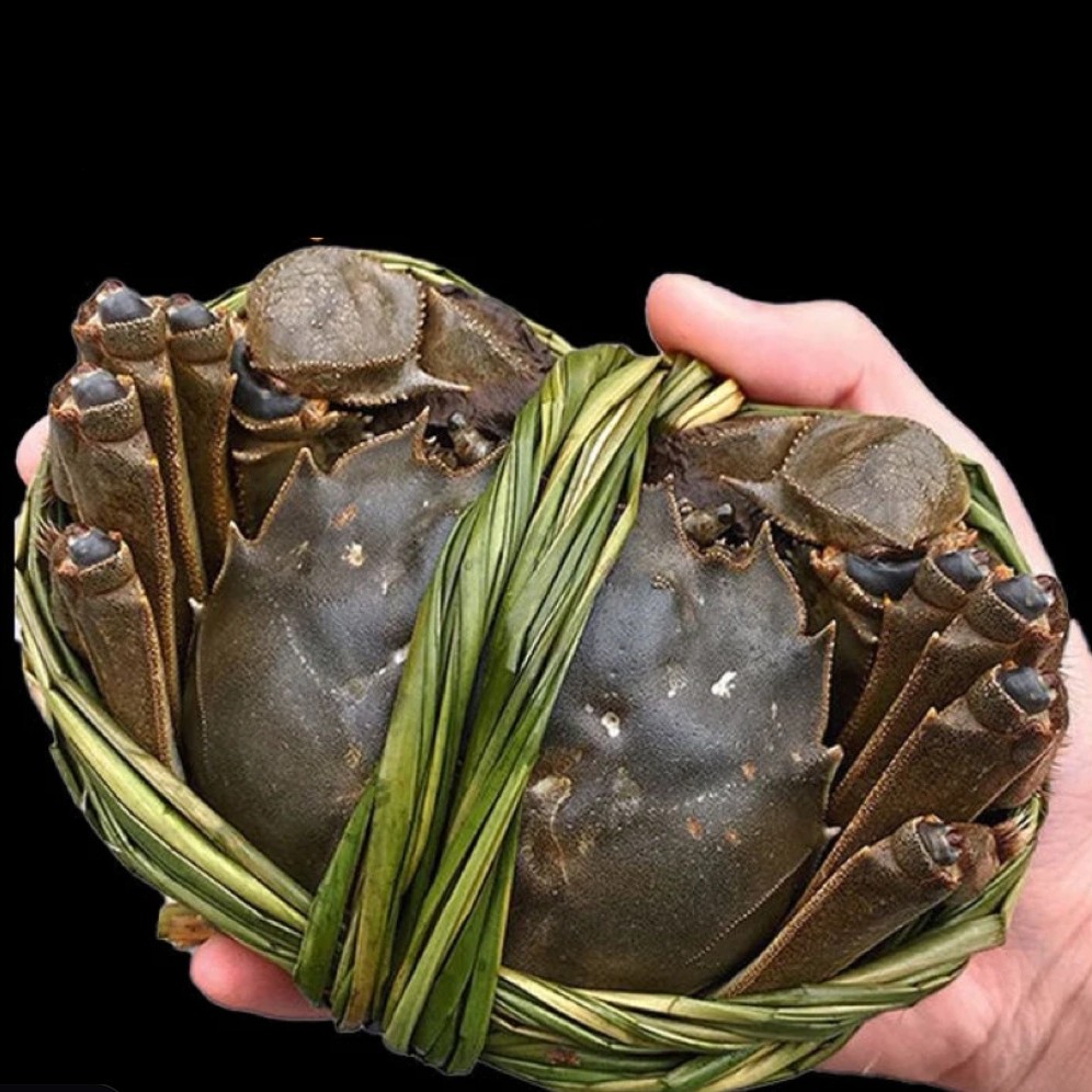 鲜活公母搭配 装 （6只/8只）江苏大闸蟹单（只3/4两）