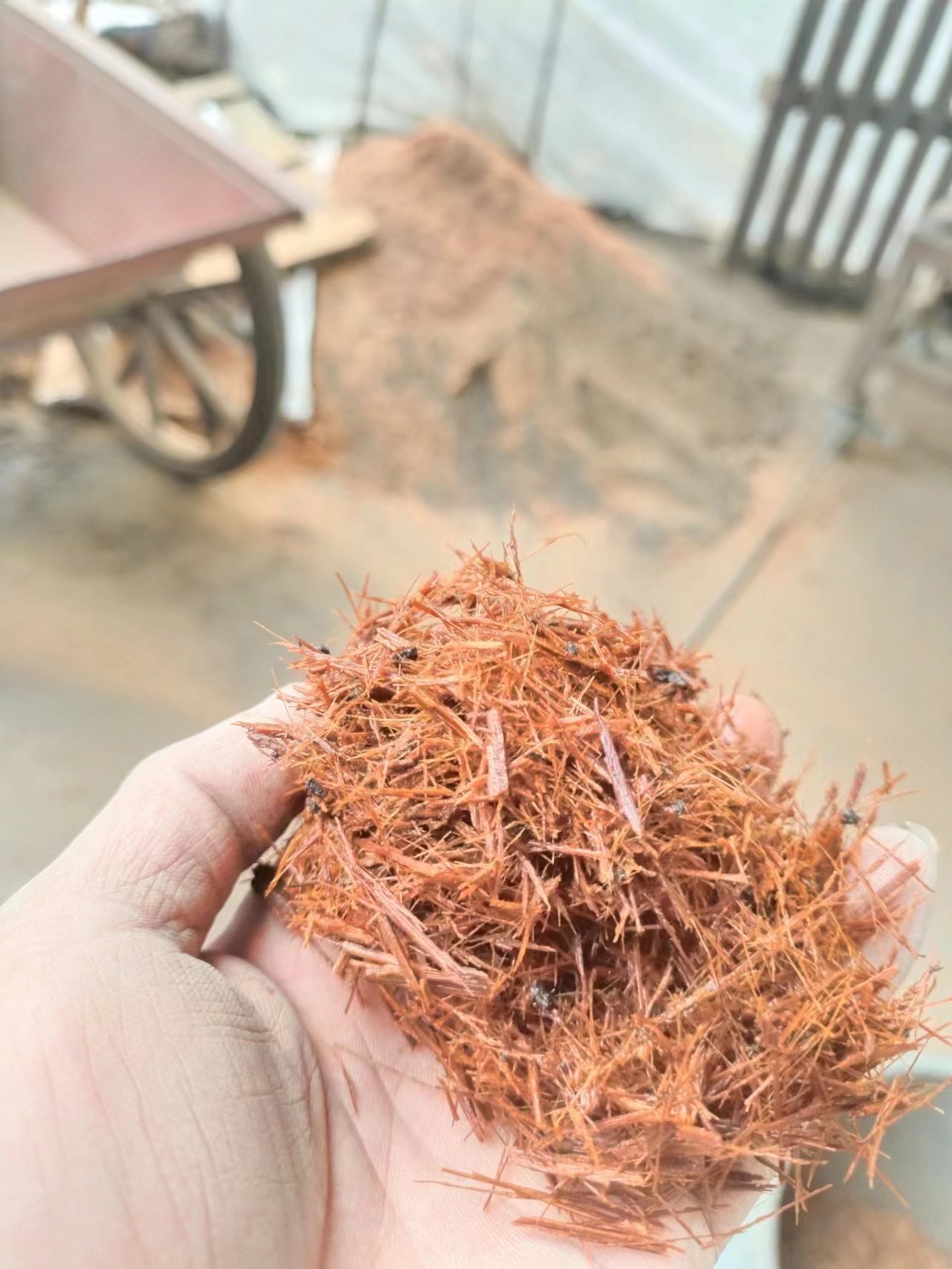 沐雨竹纤维兰花植材春兰蕙兰建兰