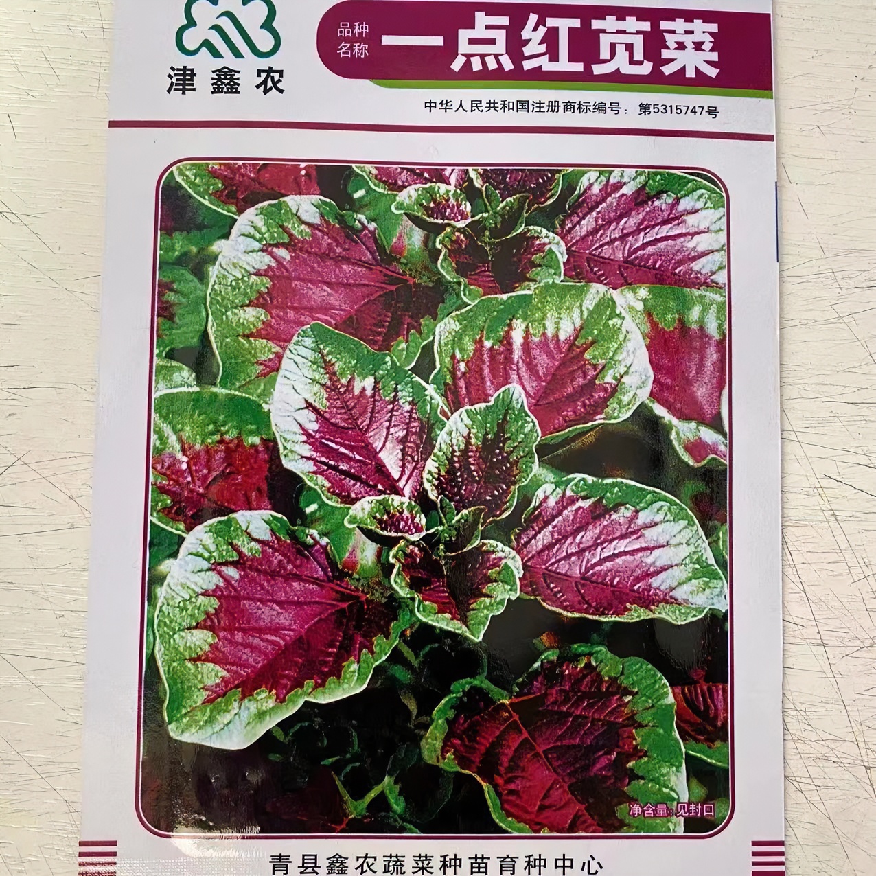 红苋菜种子庭院菜种籽种子易种植口感好苋菜可食用叶片种子