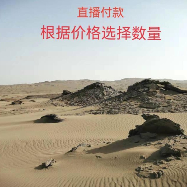 石来石往奇石店，天然奇石