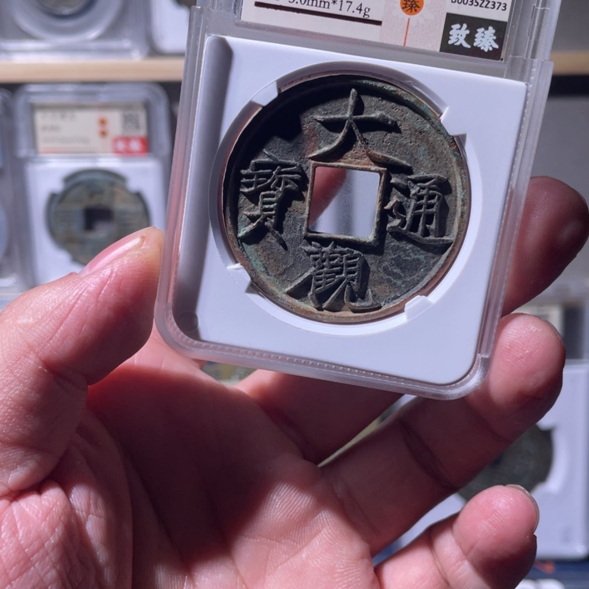 【闪购商品】茶大观折十