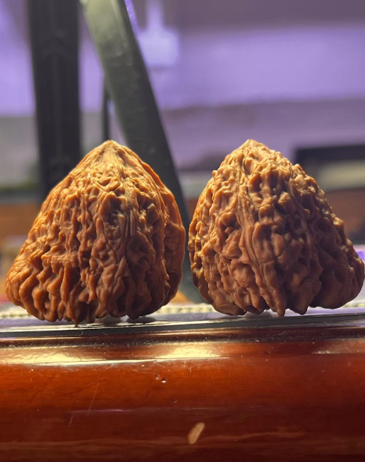 正宗涿鹿一代南将石文玩老树南疆石核桃狮子头