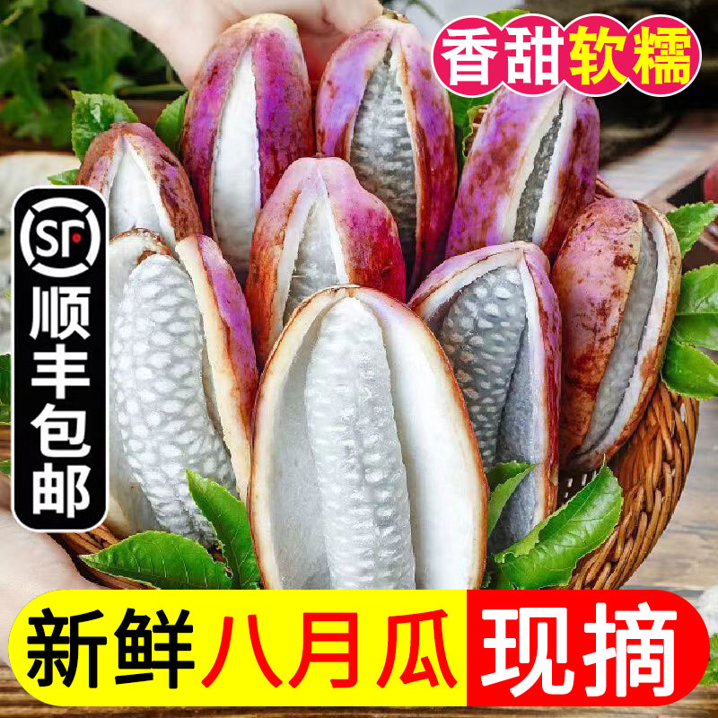 【顺丰包邮】八月瓜新鲜八月炸水果香甜软糯稀有水果预知子鲜果甜瓜