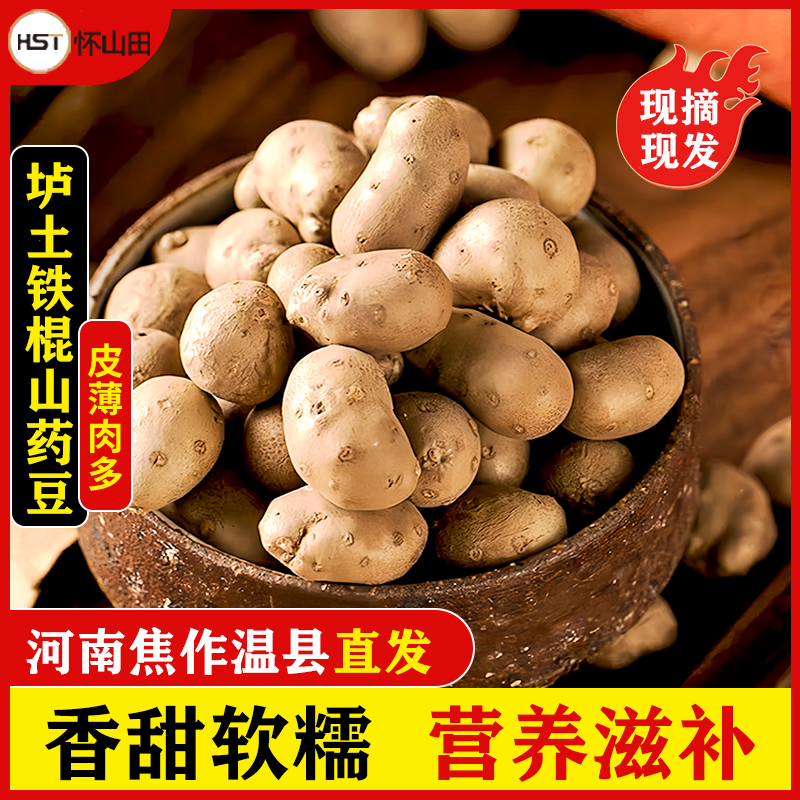 怀山田河南焦作温县正宗垆土地铁棍山药豆山药蛋2024新鲜净重5斤