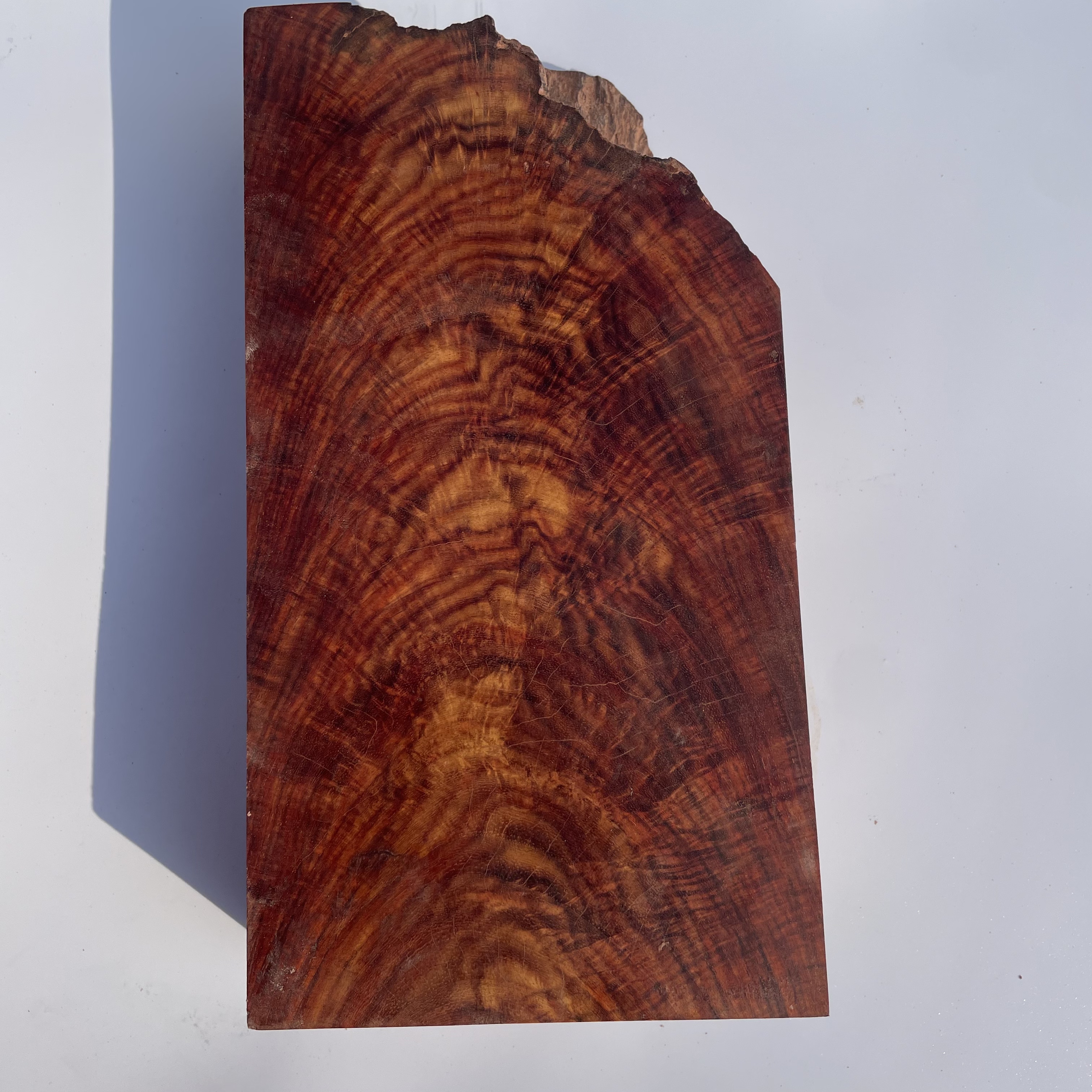 木料1 以直播间截图为准