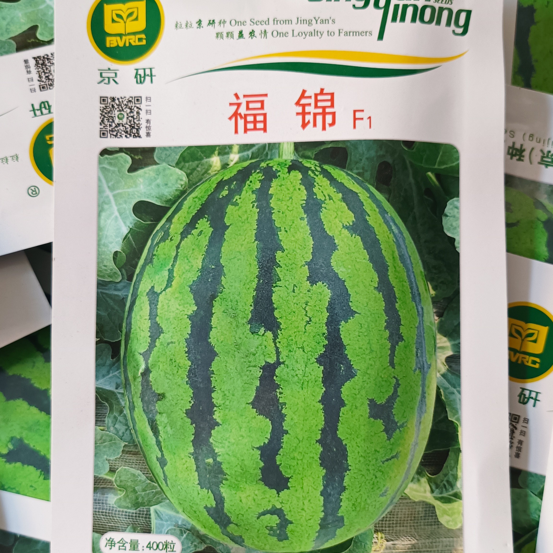 京研新品种京研福锦甜王西瓜种子大果型甜王高品质精品