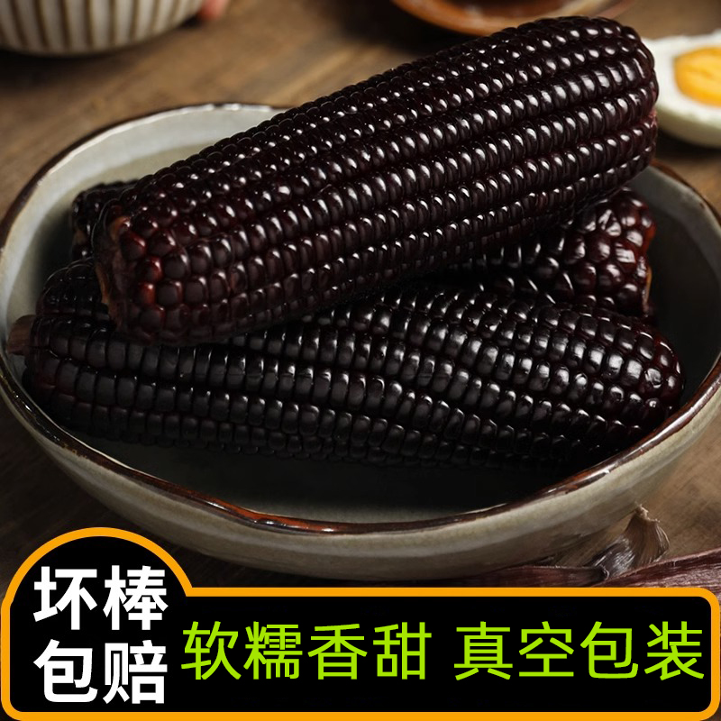 两支黑糯大棒玉米