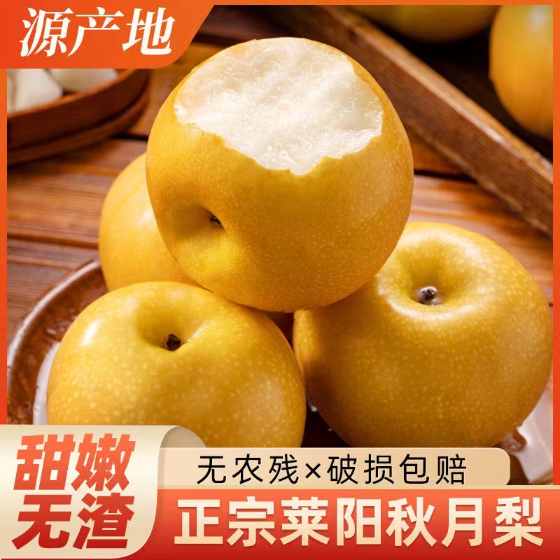 正宗山东烟台莱阳秋月梨脆甜多汁细腻无渣苹果秋月梨仙人掌水果RL