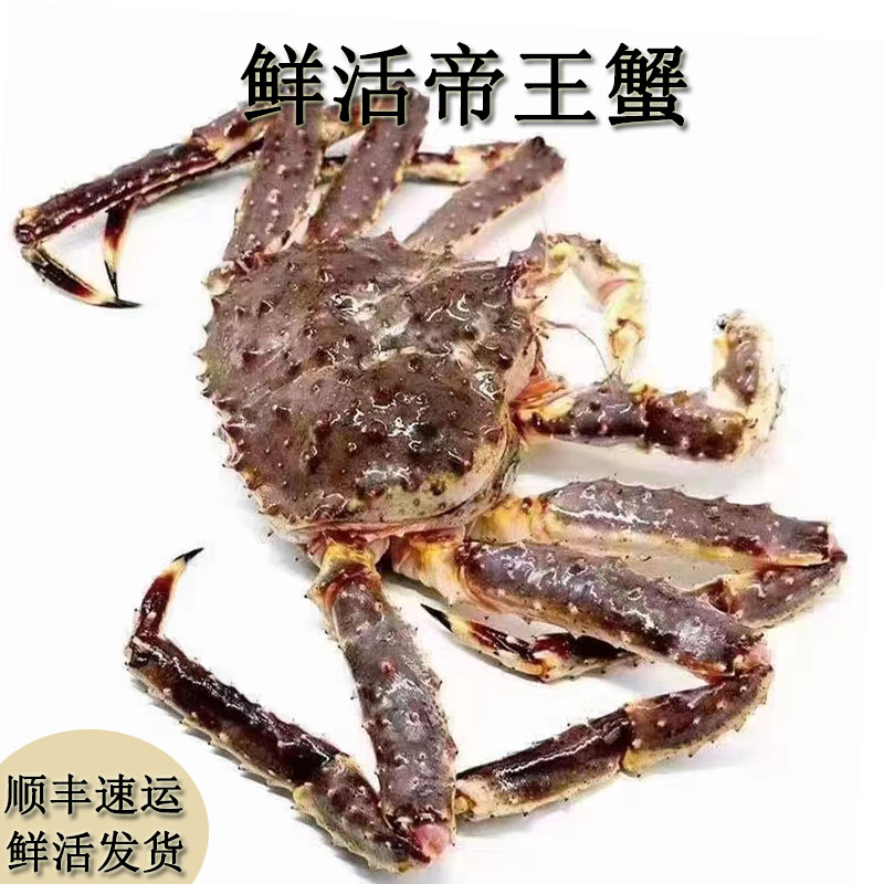 【现货现发】广东发货生猛活发帝王蟹3-8斤（多个规格）(包鲜不包活)