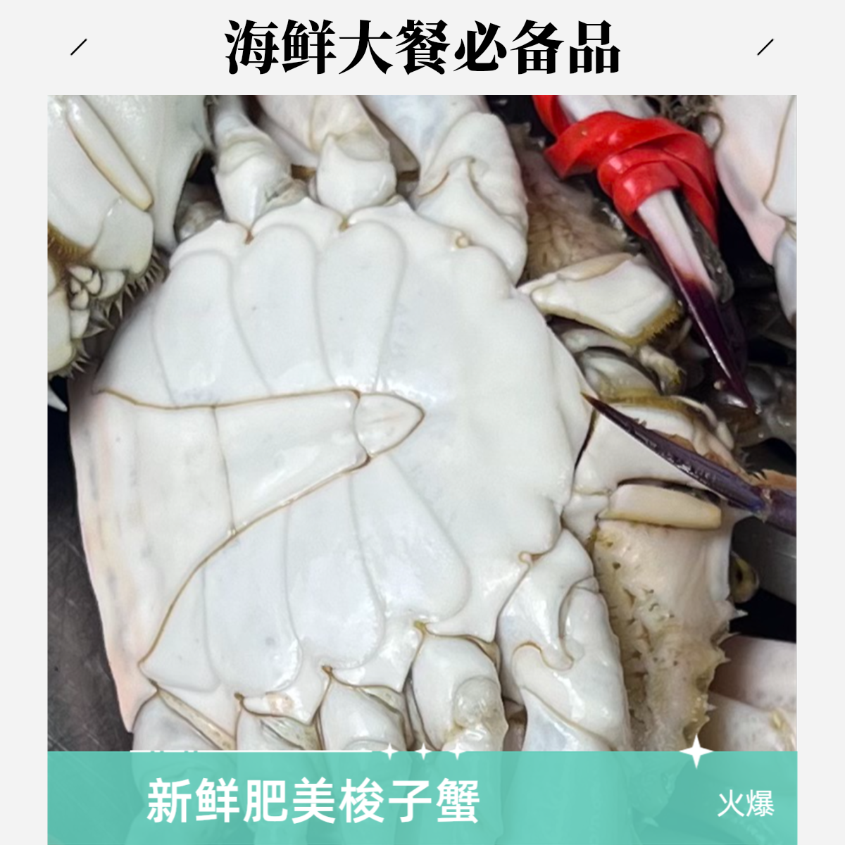 【保鲜不保活】东港梭子蟹3斤装（单只2～4两）螃蟹有掉腿