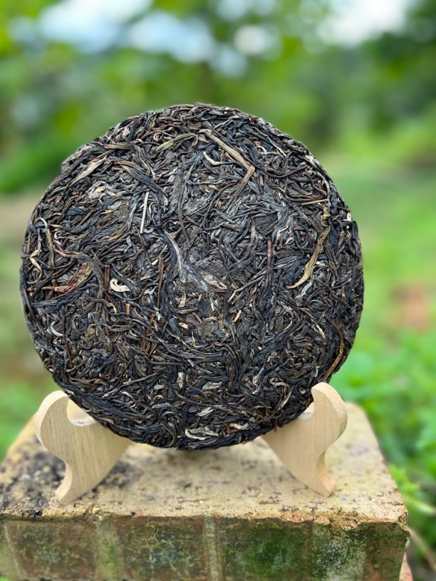 临时链接【昔归忙麓山】23年昔归核心区头春茶饼357克(高香高甜