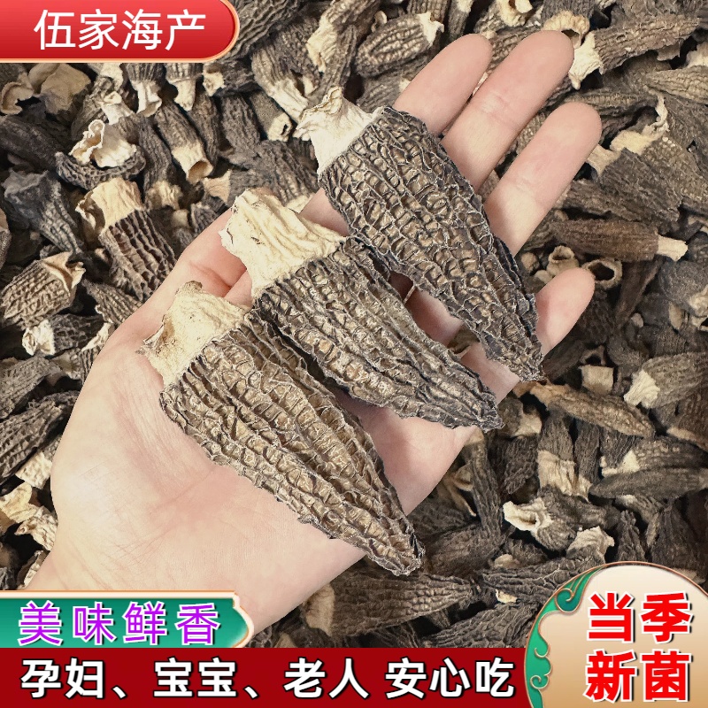 云南高山羊肚菌精品干货菌云南特产蘑菇类煲鸡汤牛肚菌