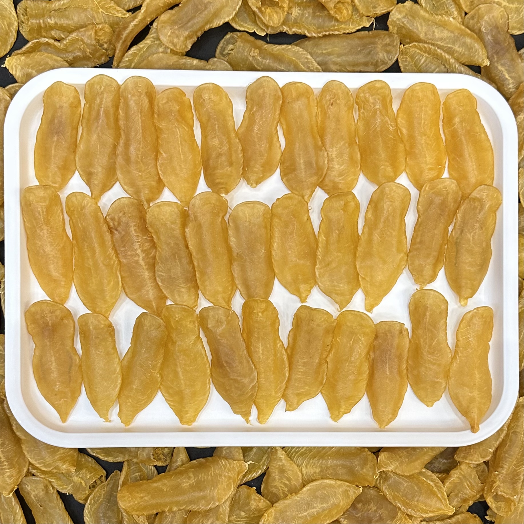 广东花胶 白花胶 1-500克