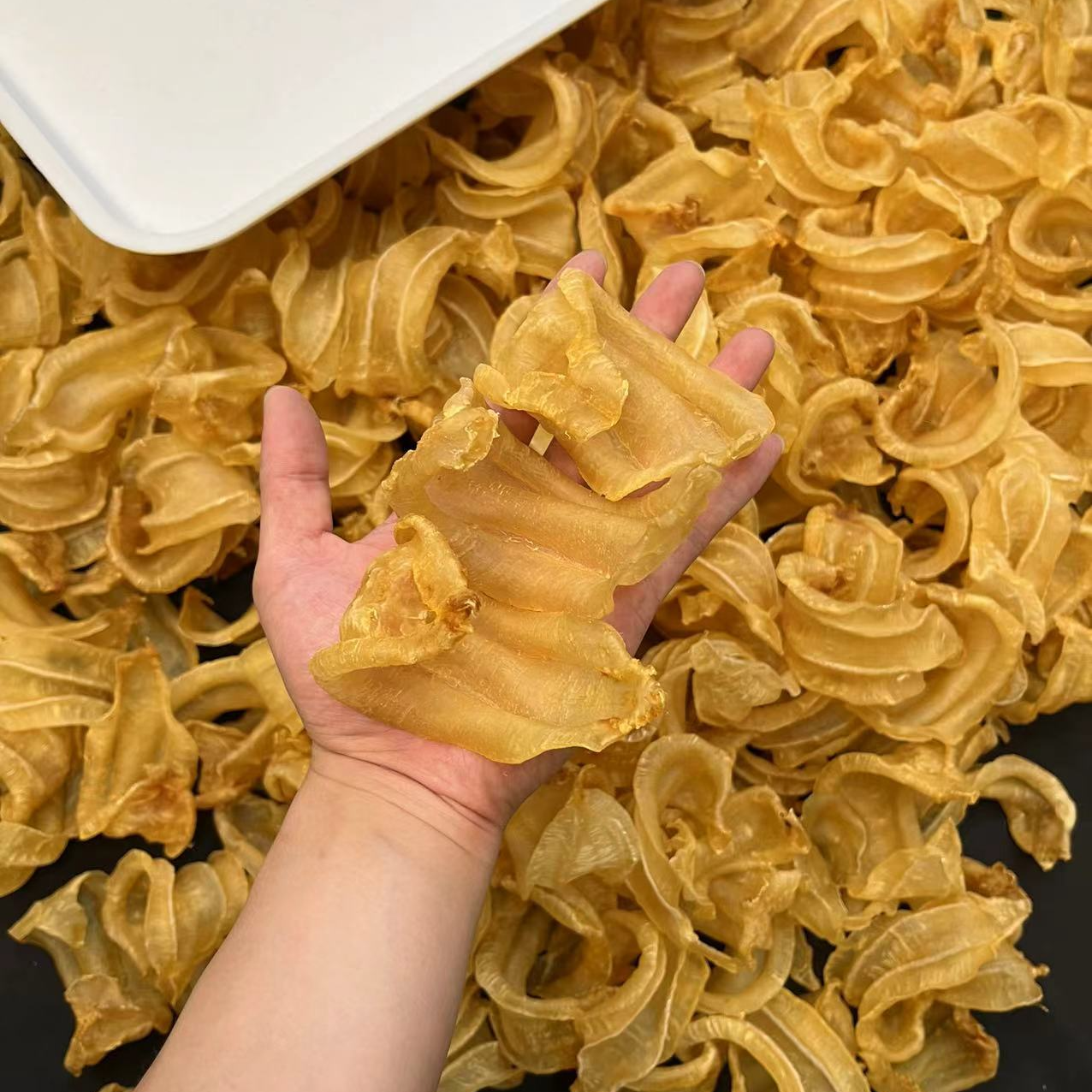 广东鱼胶 花胶海 鲜干制品