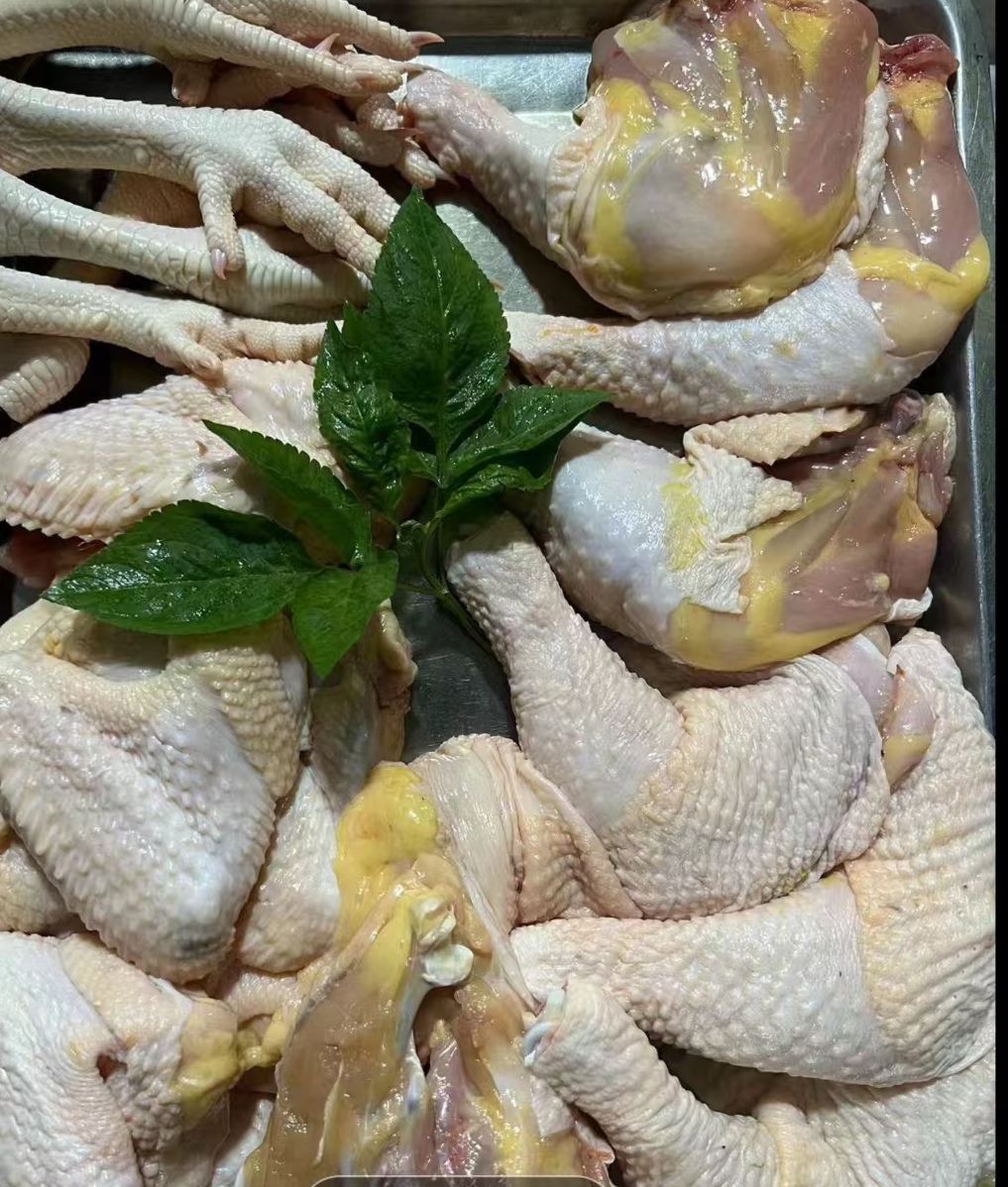 散养不喂饲料鸡，一物一拍