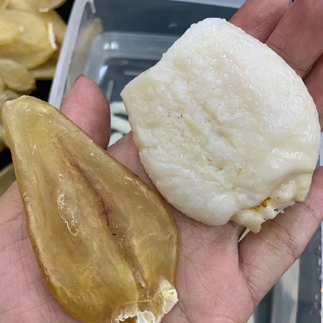 鲈鱼胶（大深海鱼胶）厚肉，口感不错！
