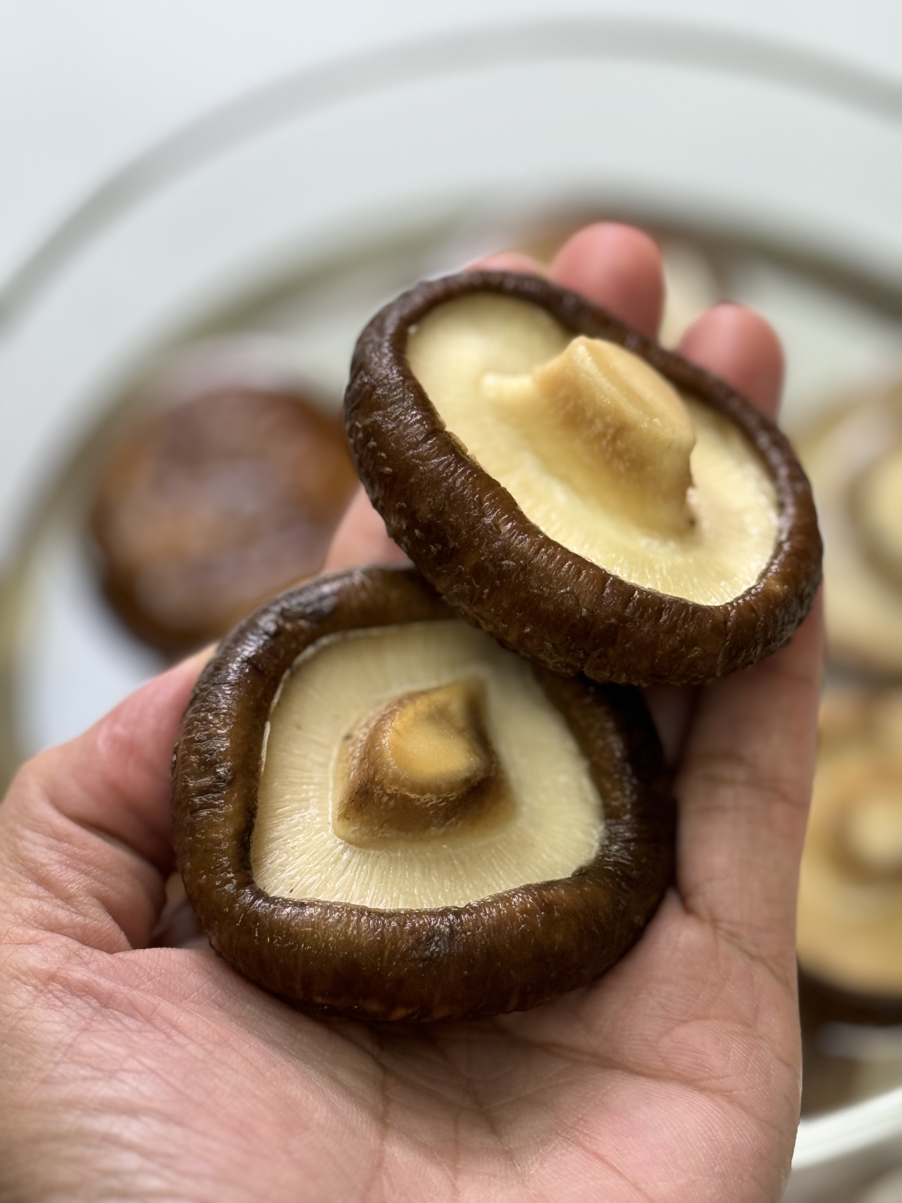 【翠姐推荐】香菇 浓浓的菇香味 焖鸡 焖鸭 爆炒肉片 煲汤 煮粥