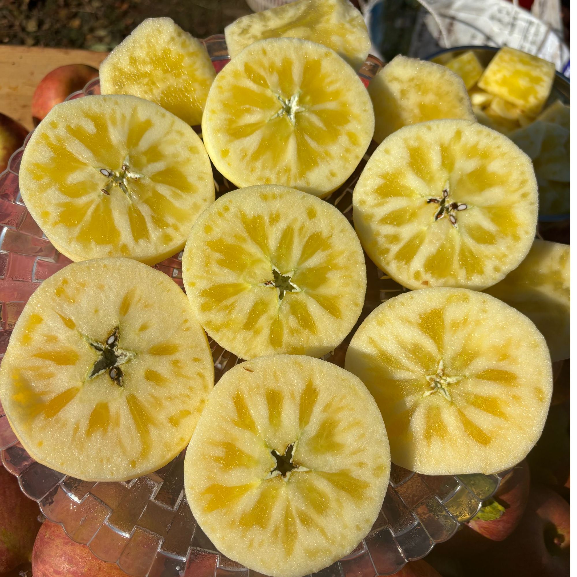 阿欢【东北可拍】四川大凉山盐源苹果糖心保证糖心不够包赔4.5/8斤