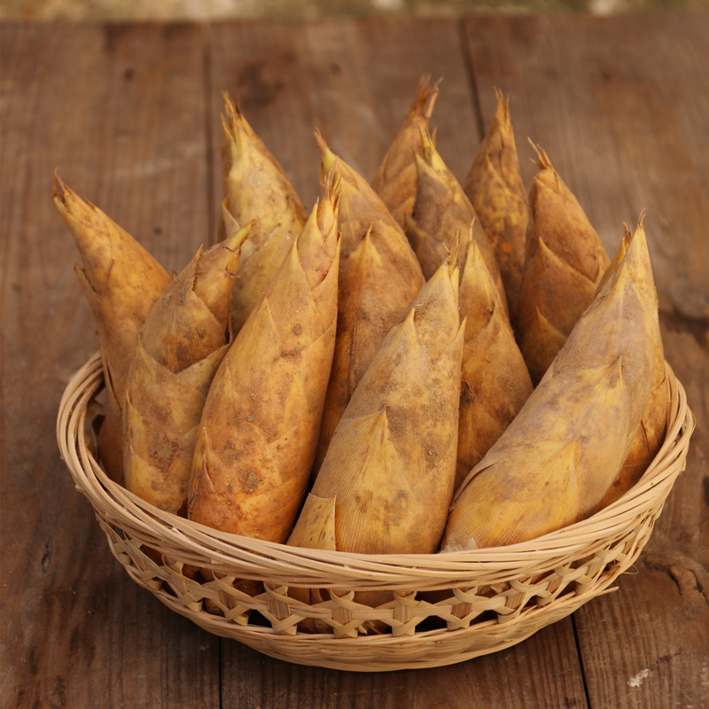 浙江大冬笋5斤临安楠竹笋大鲜笋肉厚脆鲜嫩饱满3斤新鲜2斤