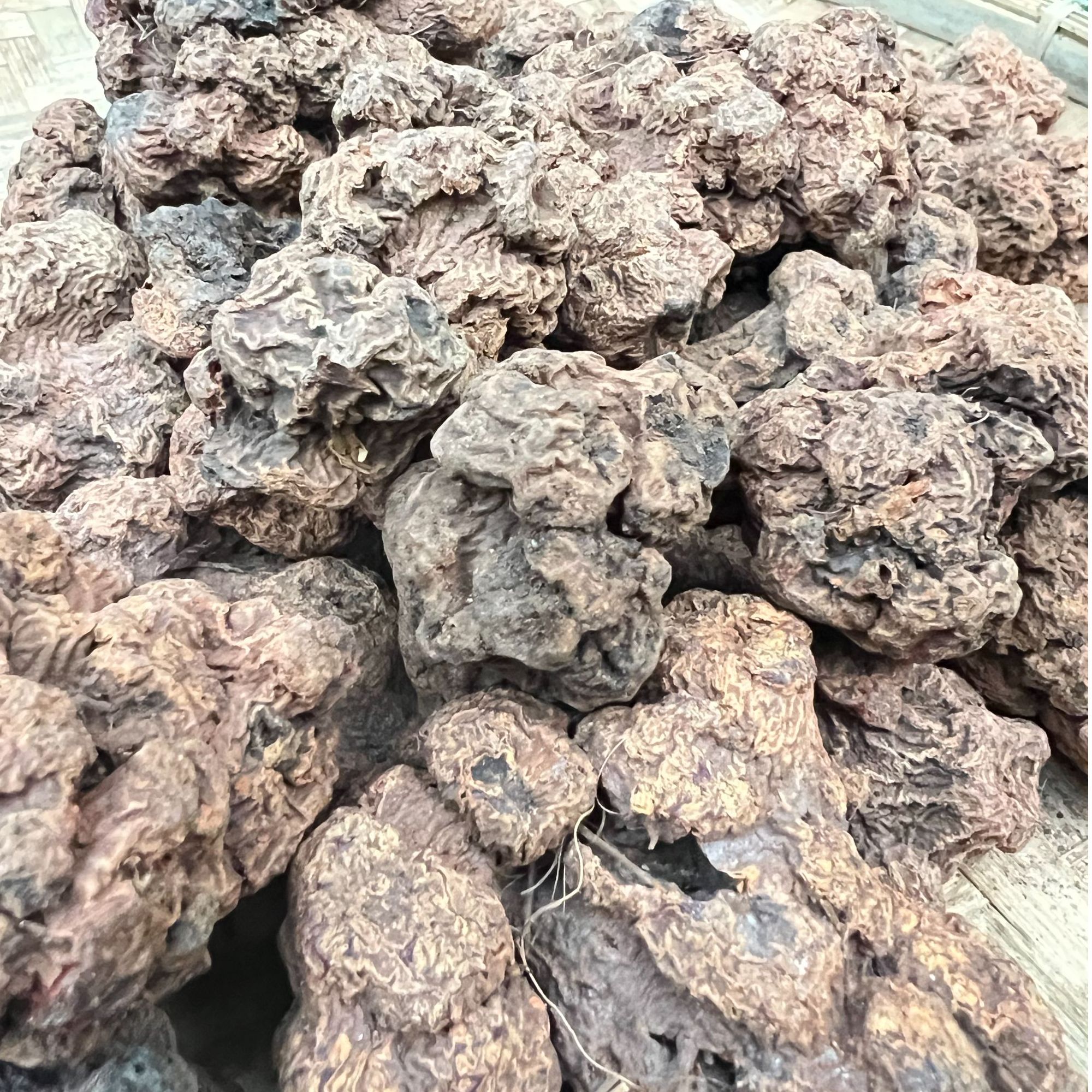 3【血-菩-提】净含量250g-1000g【小田现收】菌