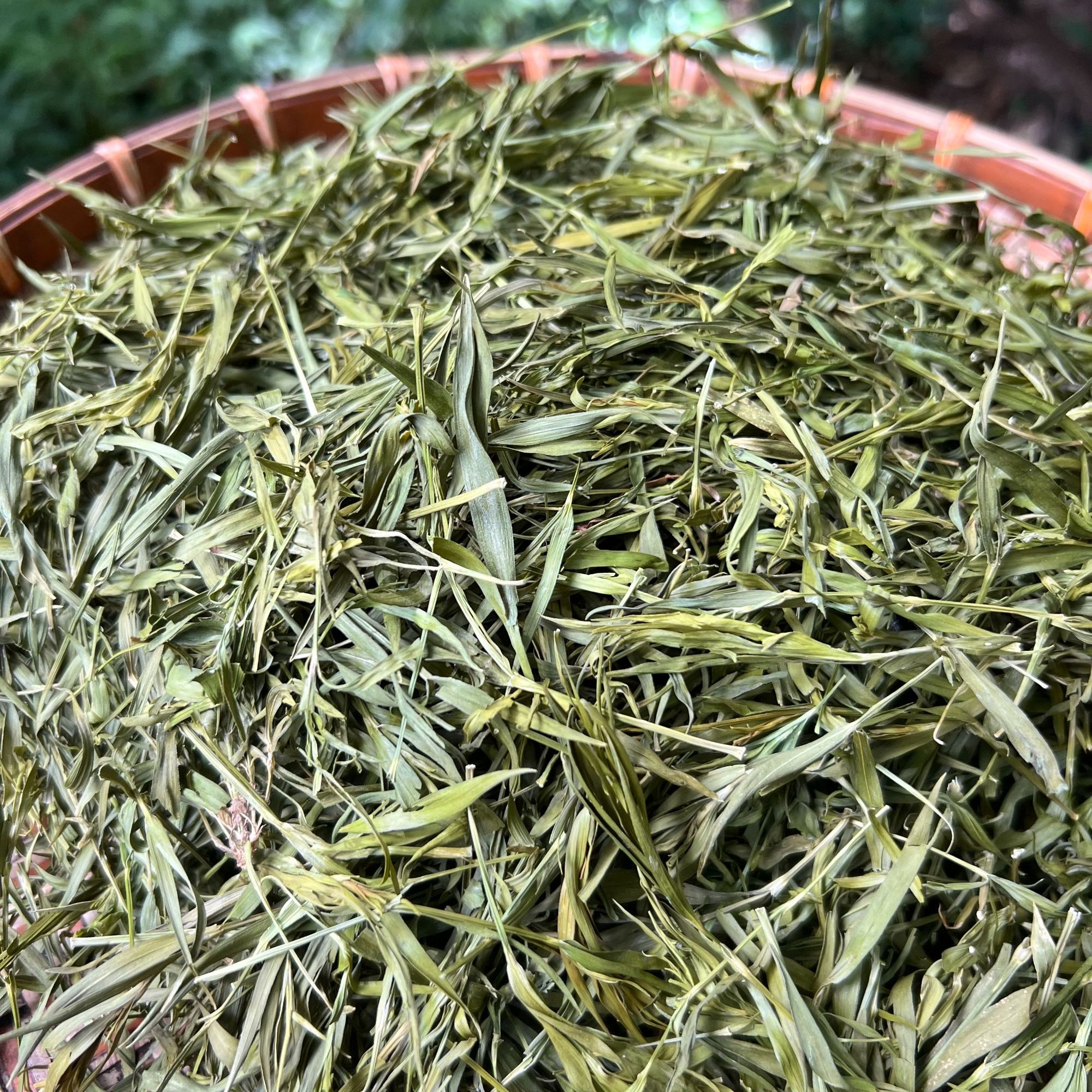 1【雪-域-冰-竹】净含量250g-1000g【小田现收】菌