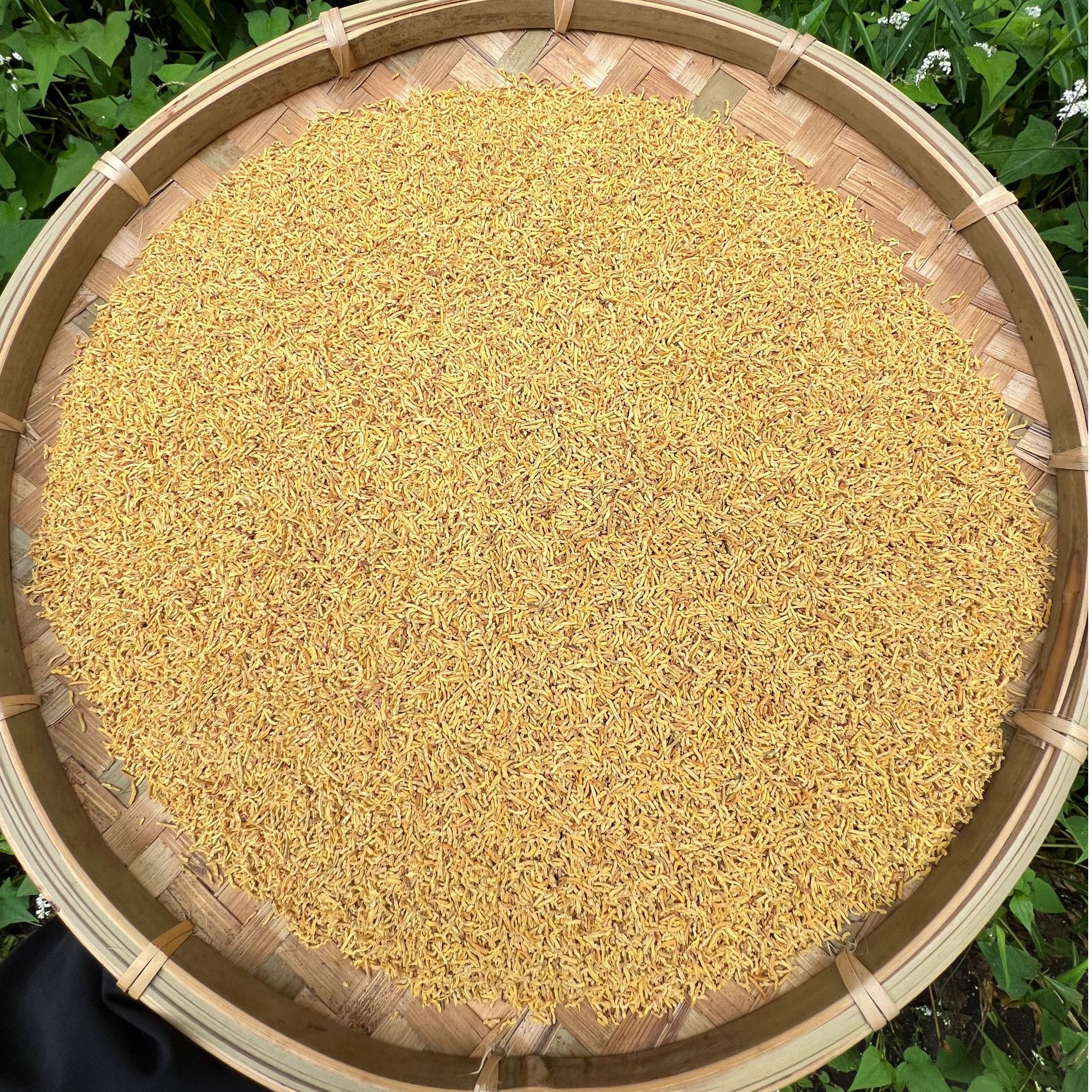 4【黄-金-蕊】净含量50g-250g【小田现收】菌