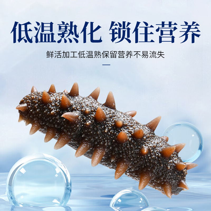 辽宁大连高刺海参