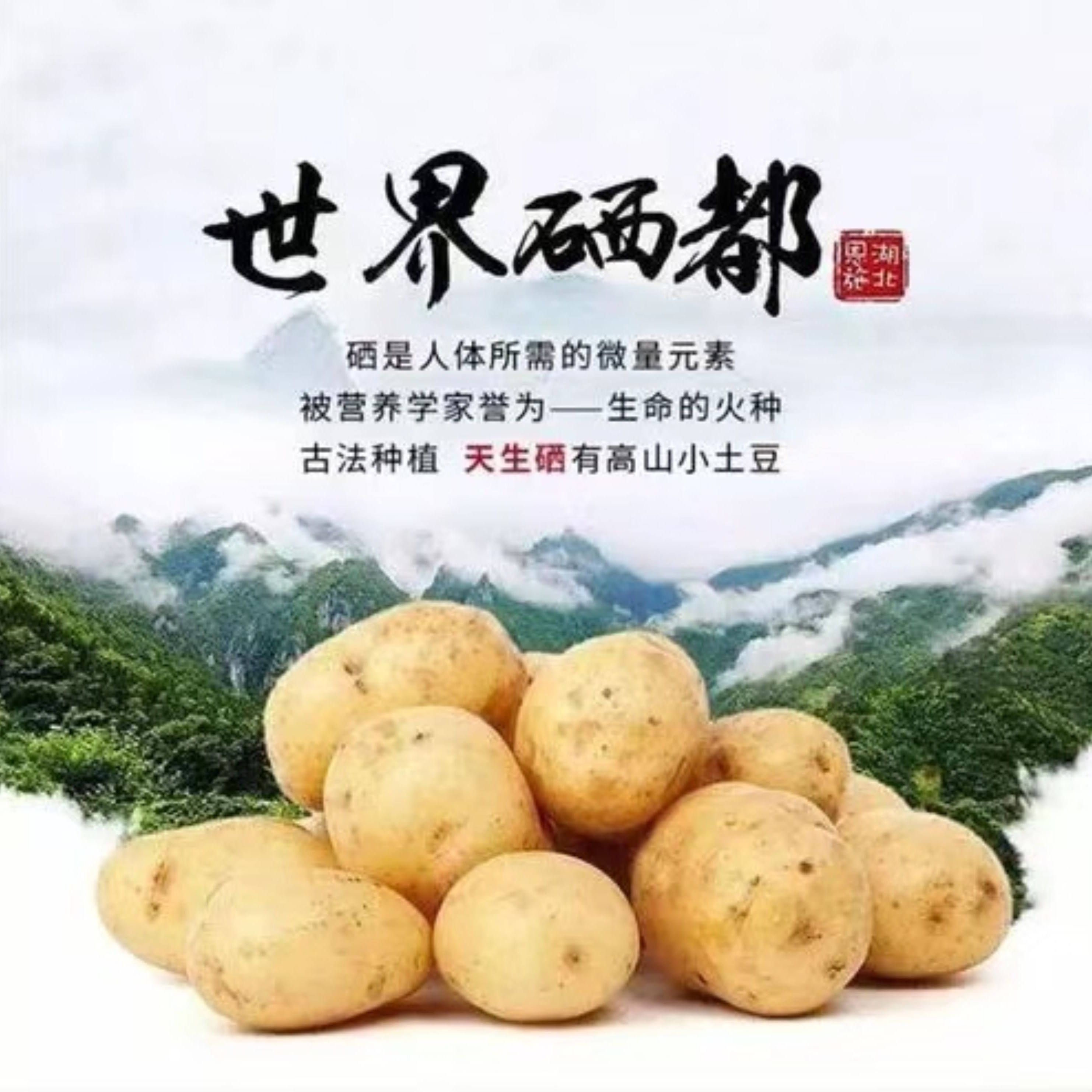 恩施富硒土豆正宗高山马尔科土豆农家自种黄心洋芋老品种马铃薯