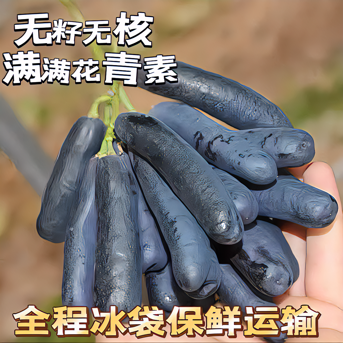 【凉小萄】四川大凉山甜蜜蓝宝石无籽葡萄新鲜水果满满花青素