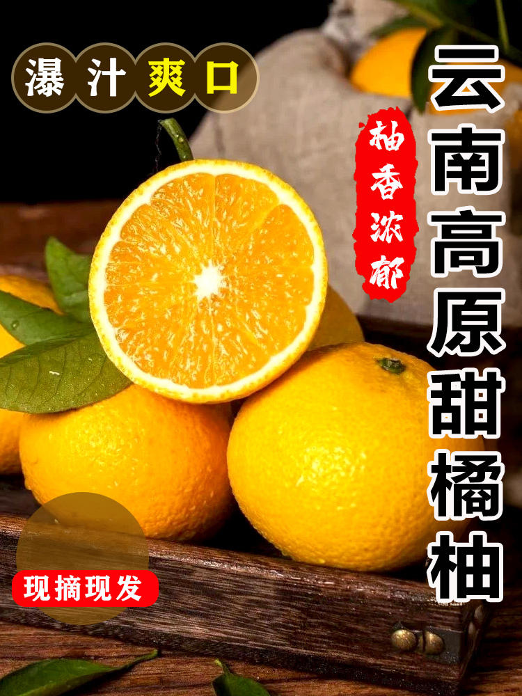 【新品种】云南高原阳光一号橘柚爆甜当季新鲜孕妇水果3斤/5斤yx