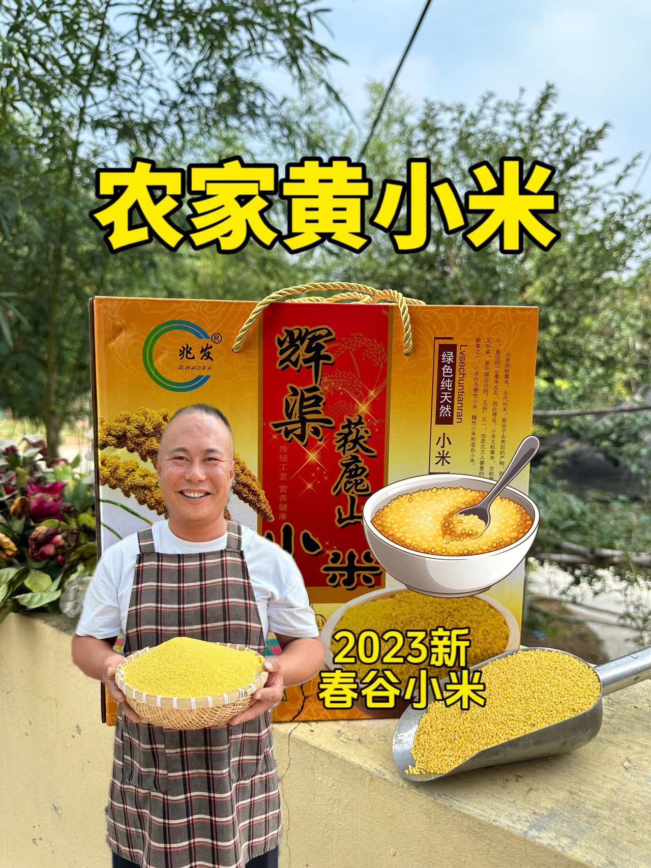 山里农家小黄米自家种植小磨米 2025新春谷获鹿山小米