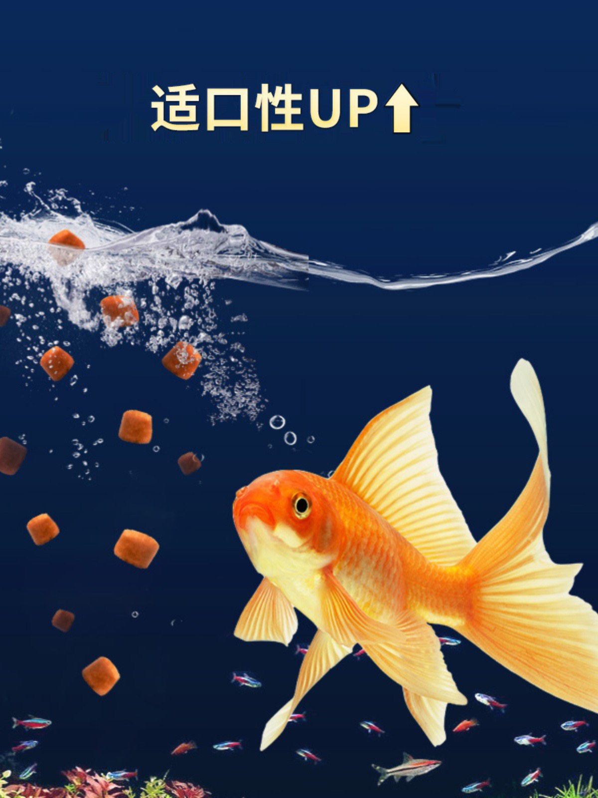 金鱼上浮专用增色金鱼鱼食观赏鱼粮金鱼饲料（原塘饲料）