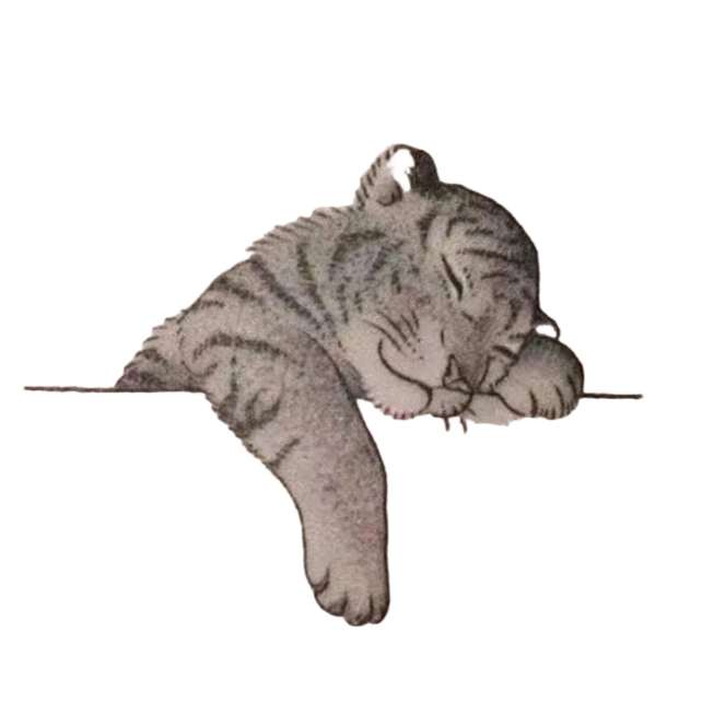 优先发货黑白小老虎纹身贴防水持久小清新情侣ins风学生纹身