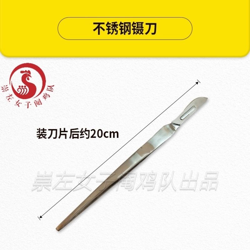 不锈钢阉鸡工具中大公鸡阉割器耐用阉鸡刀