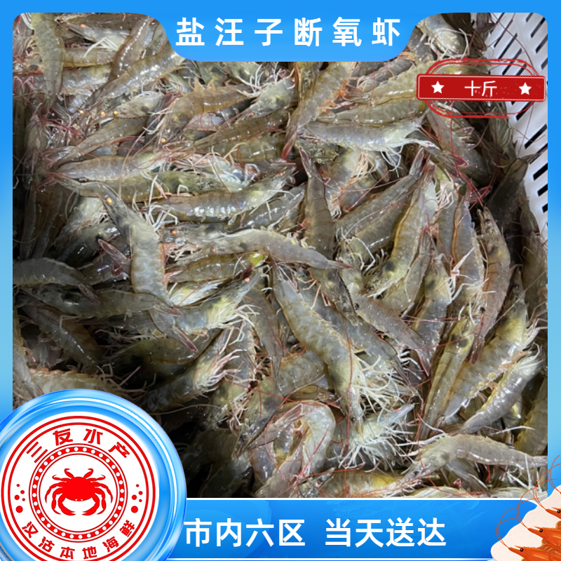 汉沽盐汪子断氧虾 （10斤）三友水产