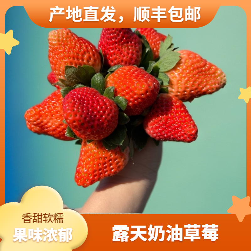 【顺丰】奶油草莓❤福利❤大凉山露天草莓孕妈妈放心吃礼盒装3斤ljk