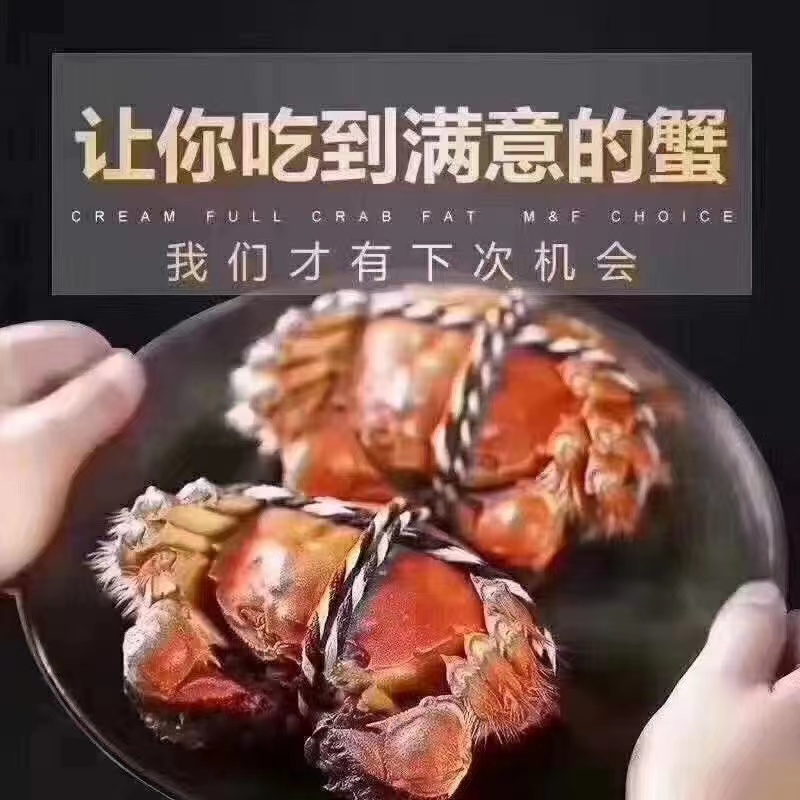 【固城湖螃蟹】鲜活大闸蟹2.5-2.8两一只