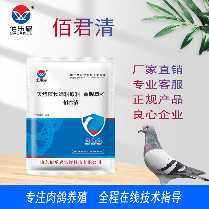 佰乐森佰君清-天然植物饲料原料鱼腥草粉