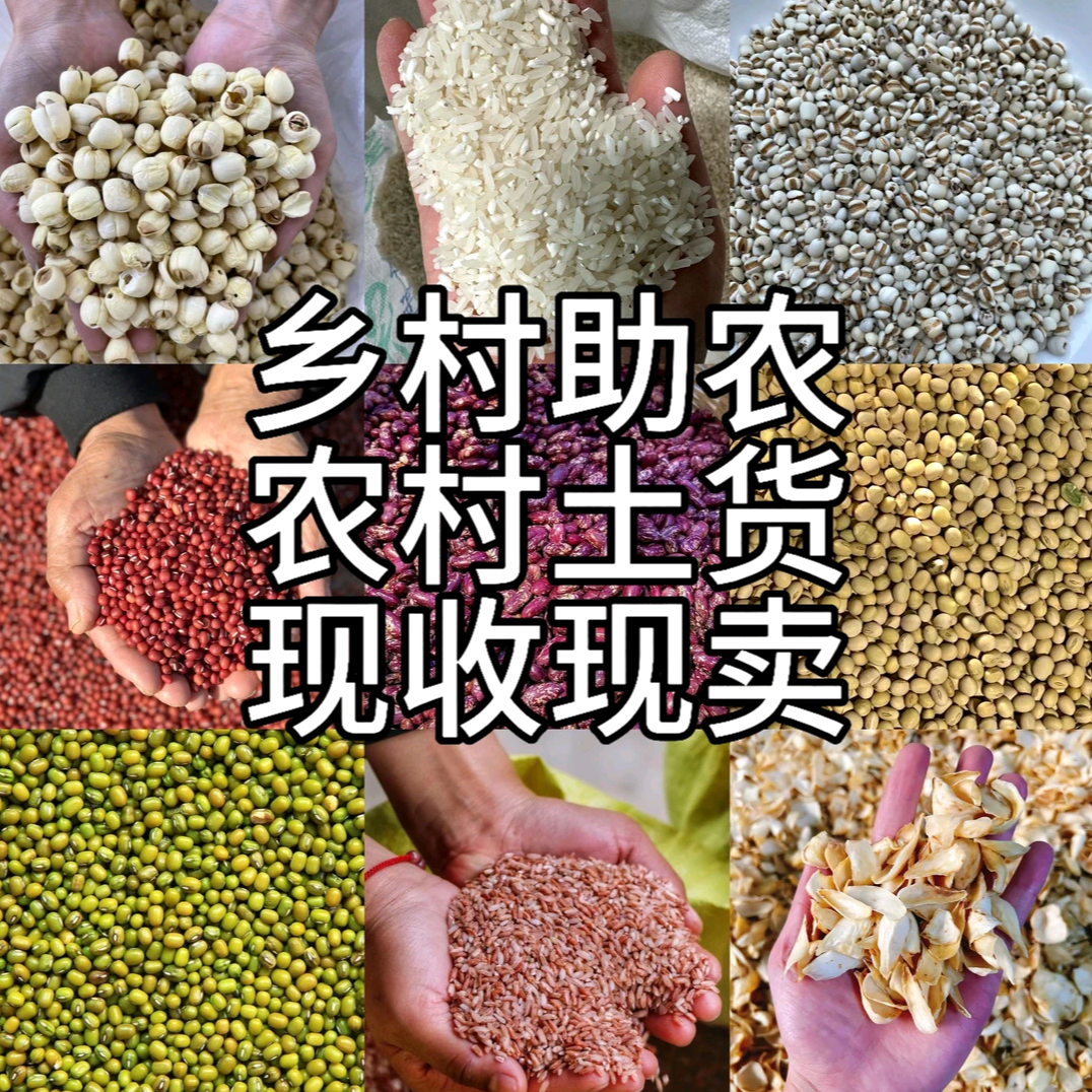 走乡村老百姓自产自销现称现选农产品1/5斤干净卫生