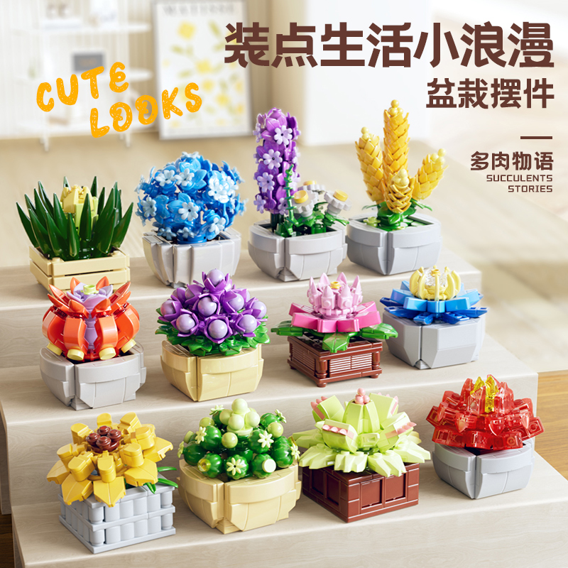 【星涯优品】积木多肉 多规格可选