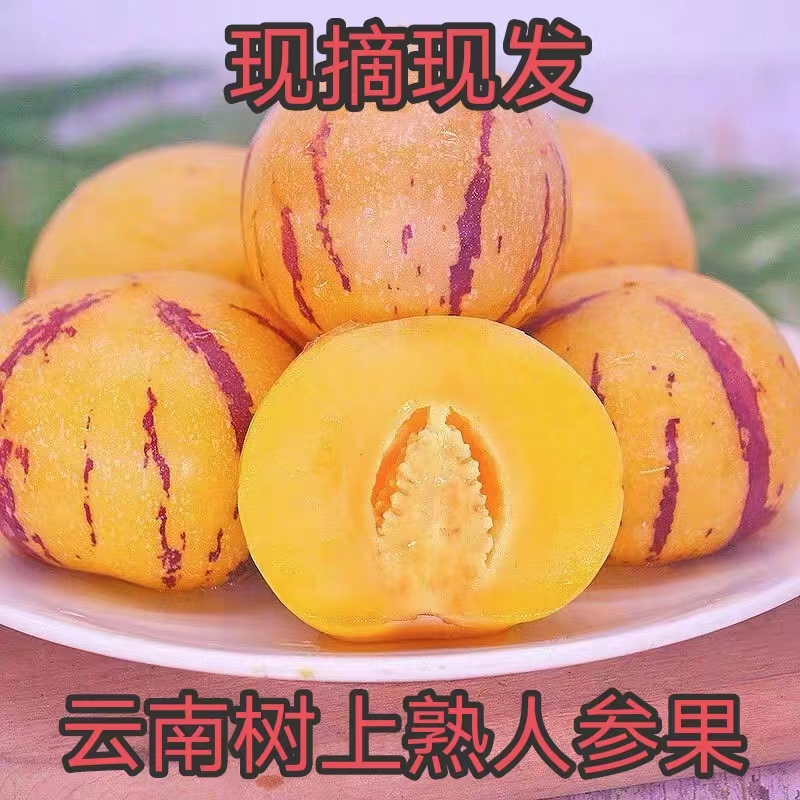 田野的秘密顺丰发货【真树上熟】云南人参果产地直销黄心圆果清甜