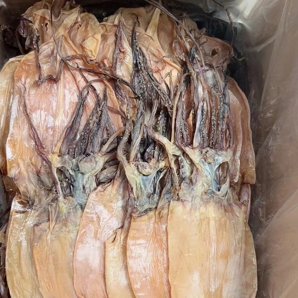 广东特产大鱿鱼干蒸炒炸 包邮  