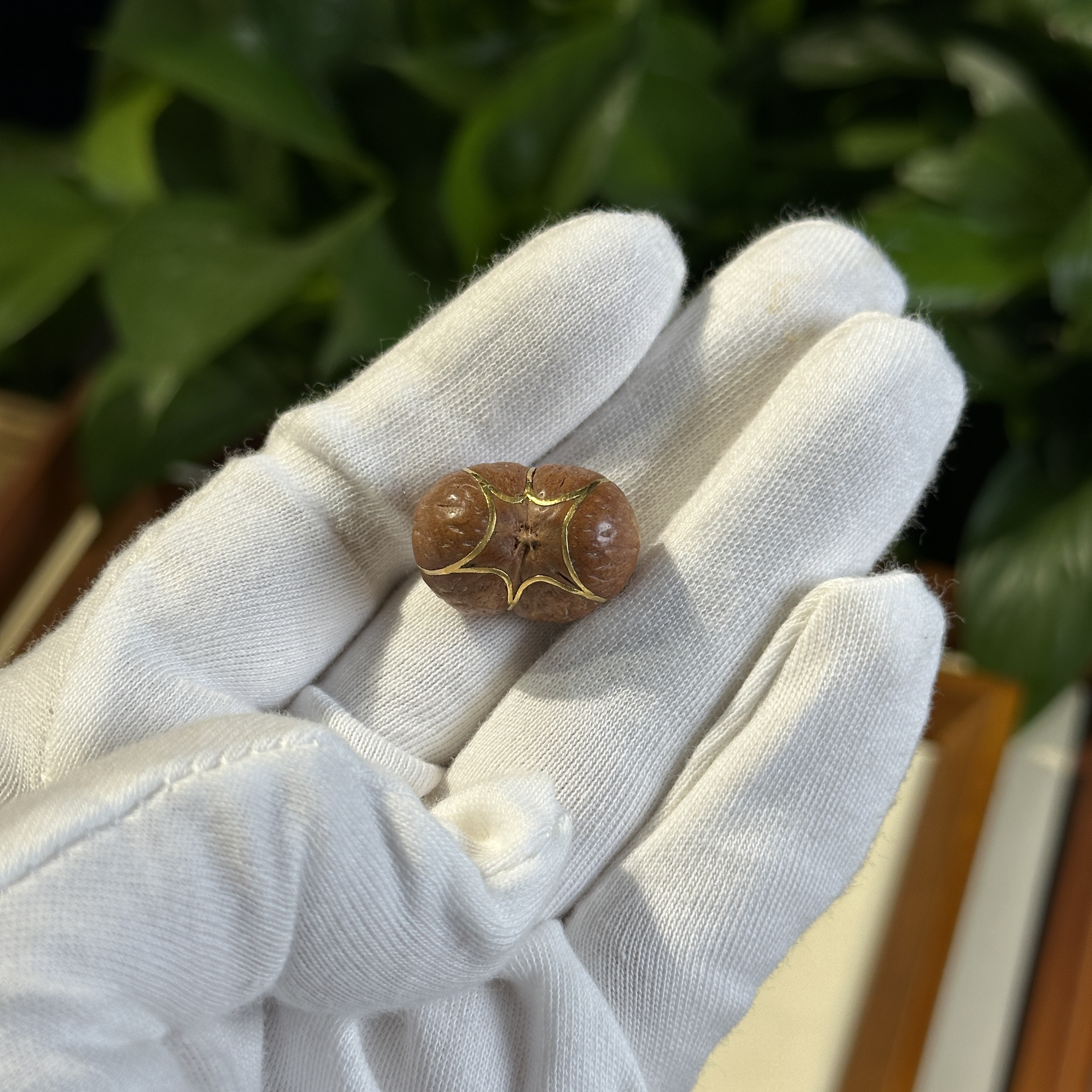 尼泊尔凤眼菩提六星单颗镶嵌金丝三通备云