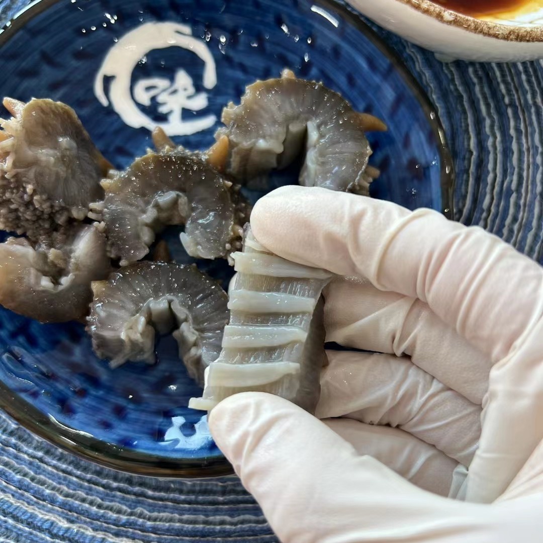 大连底播鲜食海参 口感Q弹 一斤10-12根