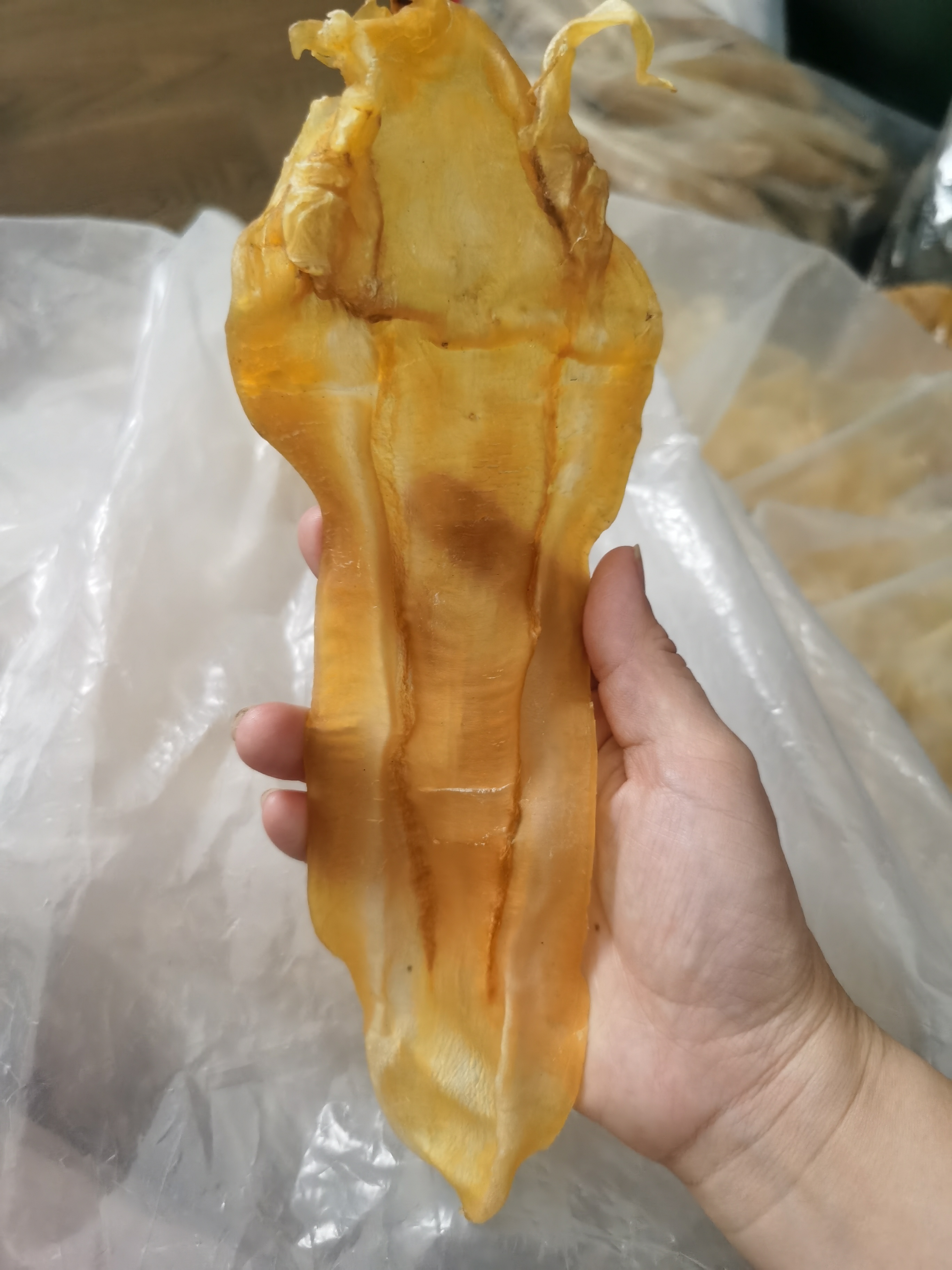 【花胶物语】公胶鱼胶干货改价链接