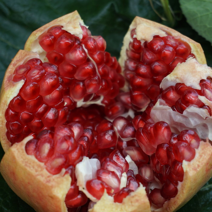  四川大凉山会理突尼斯软籽石榴新鲜孕妇水果4.5斤红石榴