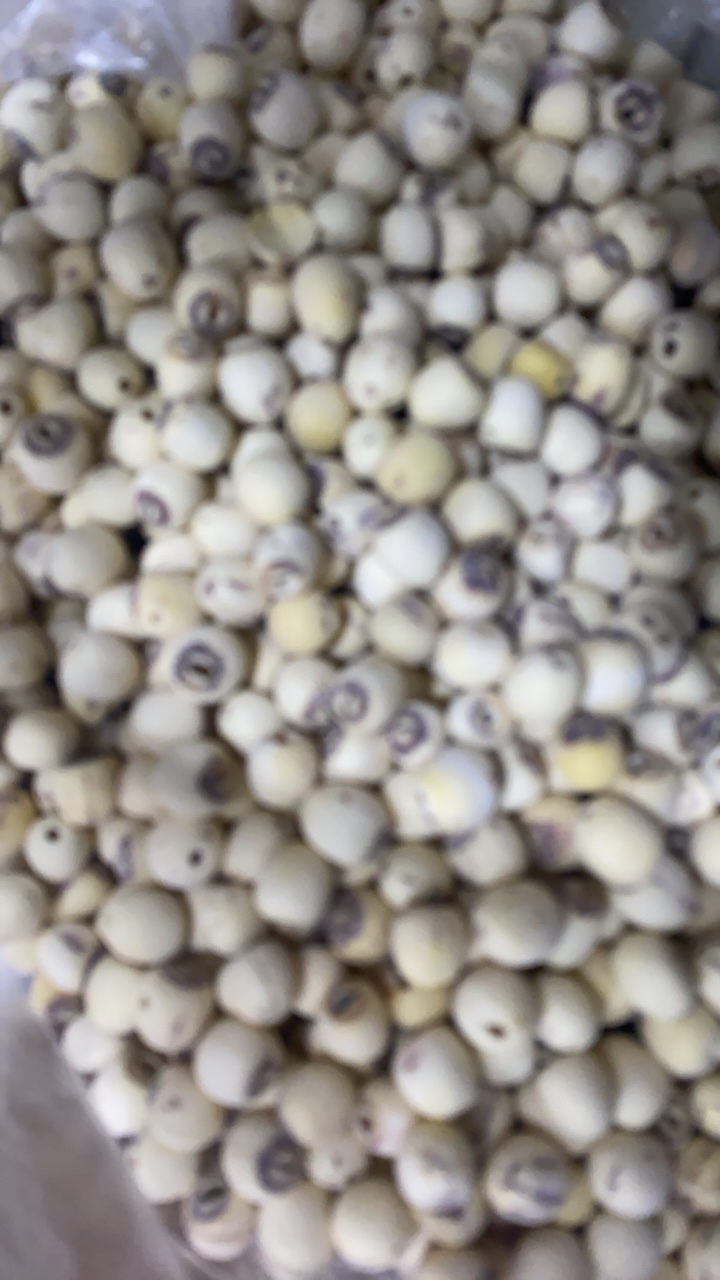 【土特产】莲子250g