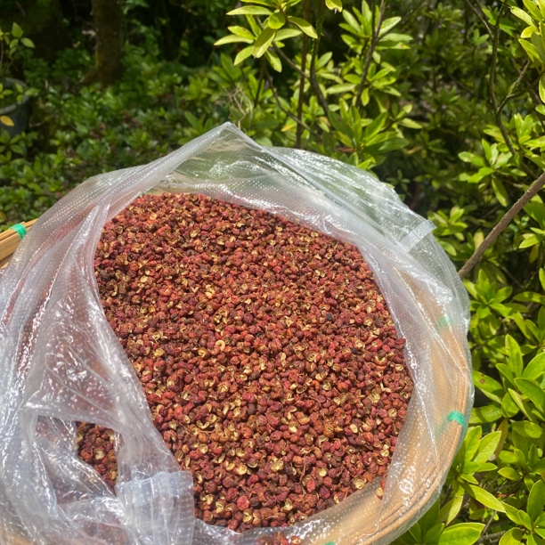 【土特产】花椒100g
